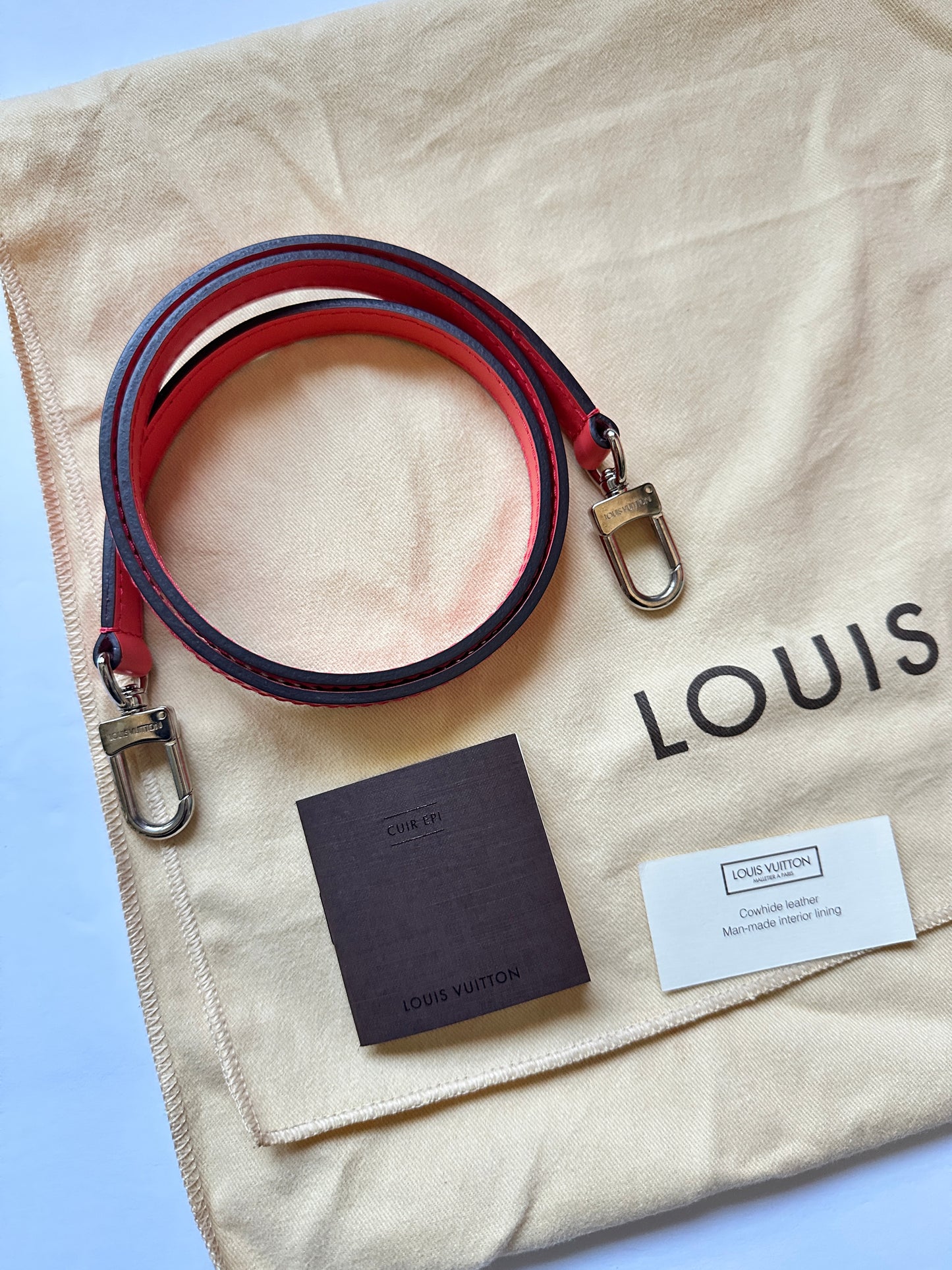 Louis Vuitton Epi Leather Phenix PM Bag